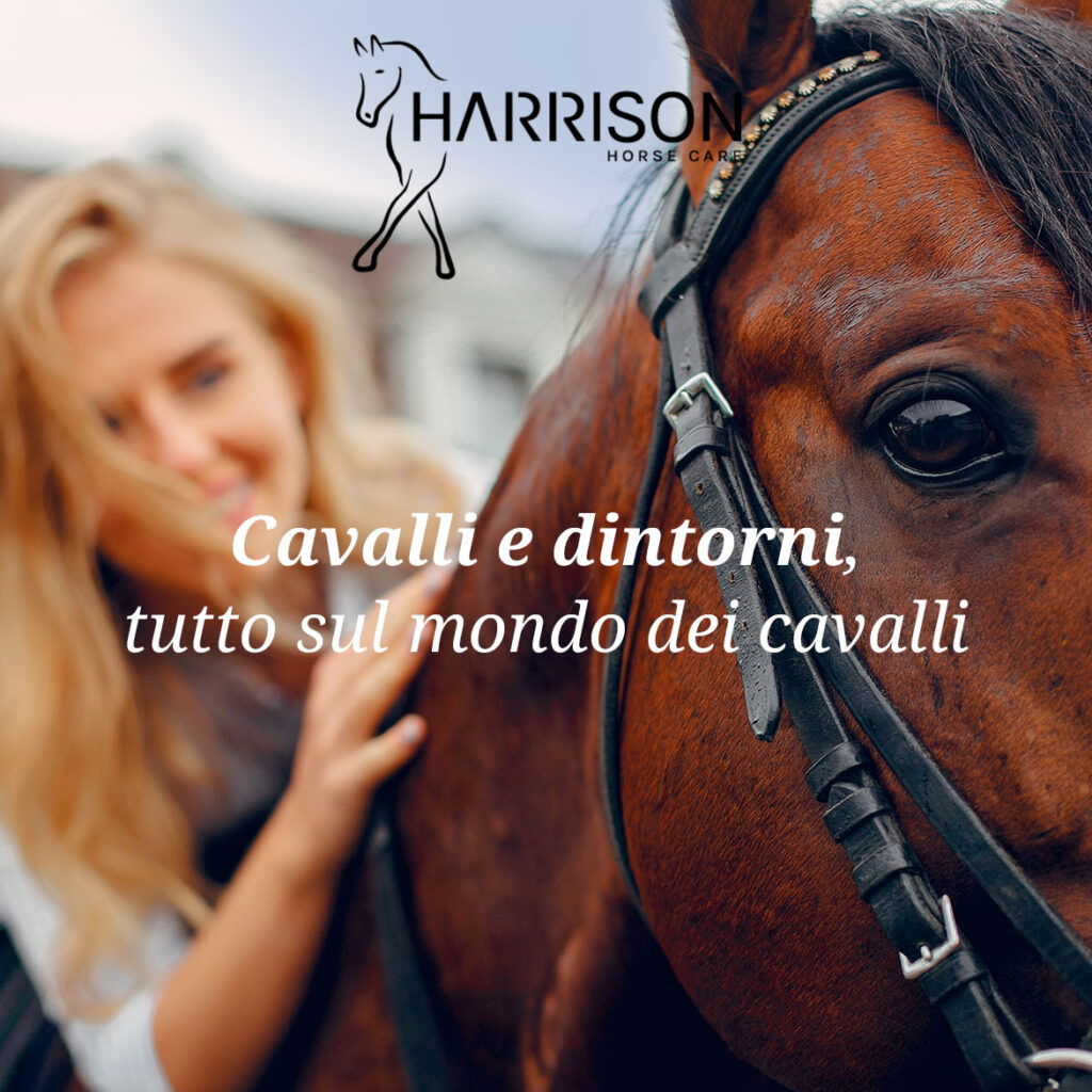Harrison Horse Care homepage